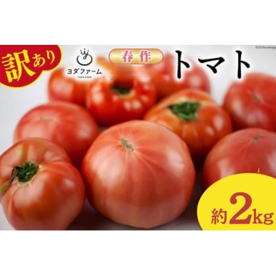 �y2026�N�����@��s��t�z�y�t��z�y�󂠂�z�����Y�g�}�g ��2kg