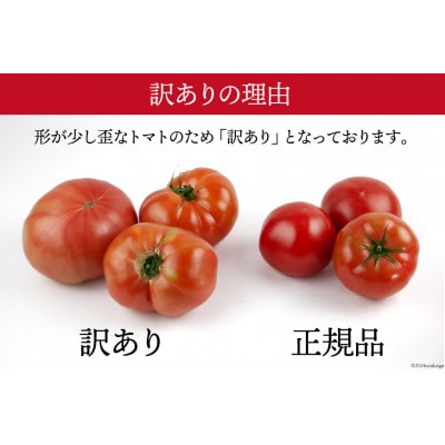【2026年発送　先行受付】【春作】【訳あり】桃太郎トマト 約4kg