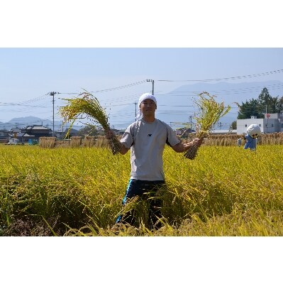 山梨県中央市産のお米(ひのひかり)　真空パック2合(300g)×9個　化粧箱入り