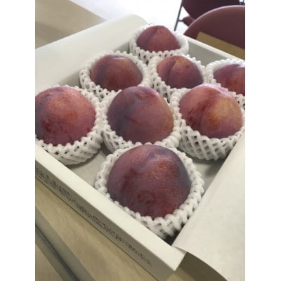 貴陽(すもも)約1.5kg(8～9玉)