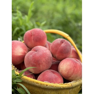 フルーツ大国山梨の桃!!約3kg(8～9玉)