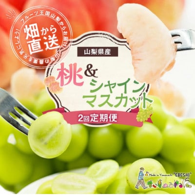 【発送月固定定期便】山梨県産 フルーツ【桃&シャインマスカット】全2回