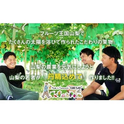 【発送月固定定期便】山梨県産 フルーツ【桃&シャインマスカット】全2回