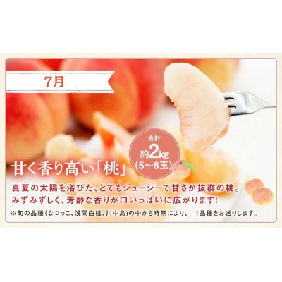 【発送月固定定期便】山梨県産 フルーツ【桃&シャインマスカット】全2回