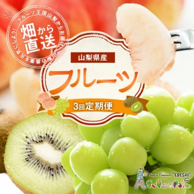 【発送月固定定期便】山梨県産 フルーツ【桃&シャインマスカット&キウイフルーツ】全3回
