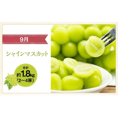 【発送月固定定期便】山梨県産 フルーツ【桃&シャインマスカット&キウイフルーツ】全3回