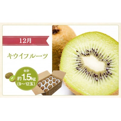 【発送月固定定期便】山梨県産 フルーツ【桃&シャインマスカット&キウイフルーツ】全3回