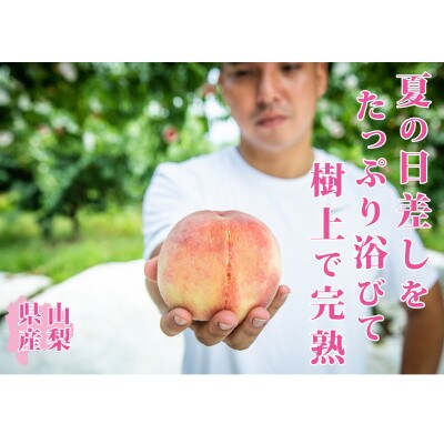【先行受付】採れたて完熟桃白桃系 約1kg(3～5玉)