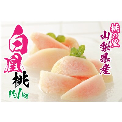 【先行受付】採れたて完熟桃　白鳳系　約1kg(3～5玉)