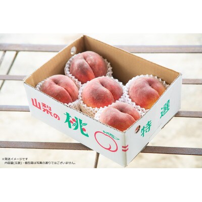 【先行受付】採れたて完熟桃　白桃系　約2kg(4～8玉)