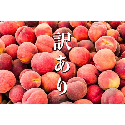 【先行受付】採れたて完熟桃　訳あり品　約2kg