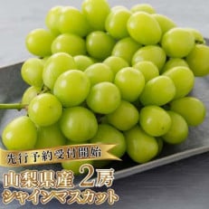 【先行予約】山梨県産シャインマスカット1kg(2房)