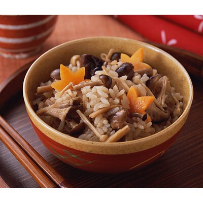 テンヨ 小麦を使用していないつゆ お手頃サイズ 500ml×12本 219059