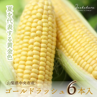 中央市産 Inakakara ゴールドラッシュ 6本入り