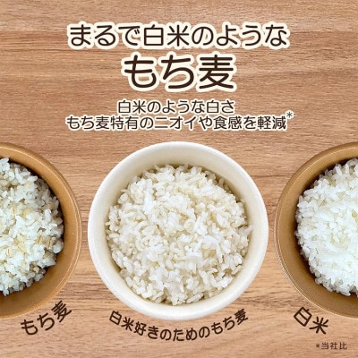 【はくばく】白米好きのためのもち麦　500g×6袋
