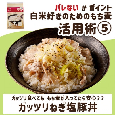 【はくばく】白米好きのためのもち麦　500g×6袋