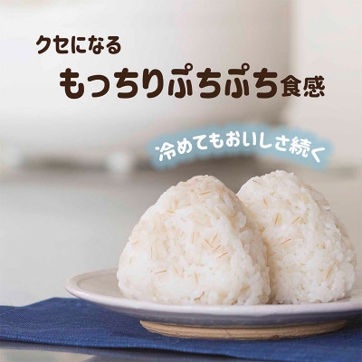 【はくばく】国産もち麦(50g×6袋入り)×6袋