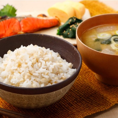 【はくばく】国産もち麦　800g×6袋