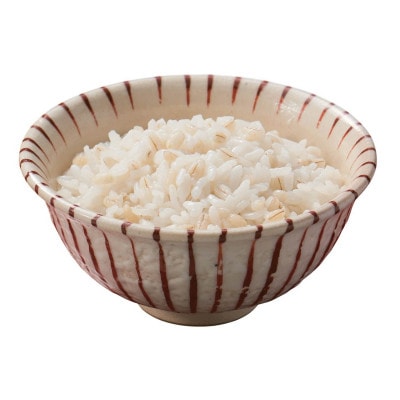 【はくばく】はじめて食べるもち麦(25g×6袋入り)×6袋