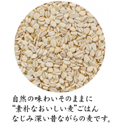 【はくばく】押麦スタンドパック(45g×12袋入り)×6袋