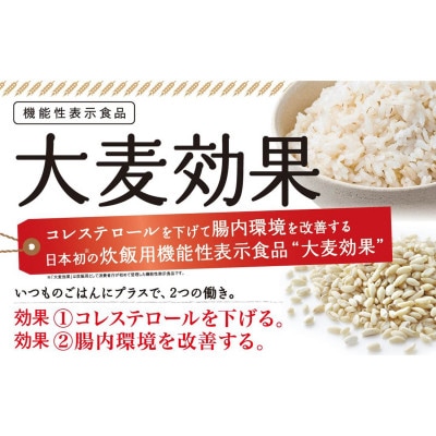 【はくばく】大麦効果(60g×6袋入り)×6袋
