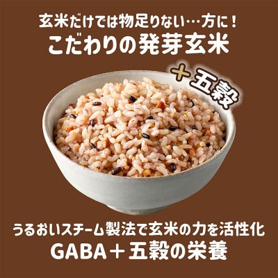 【はくばく】もっちり美味しい発芽玄米+五穀　1,000g×6袋