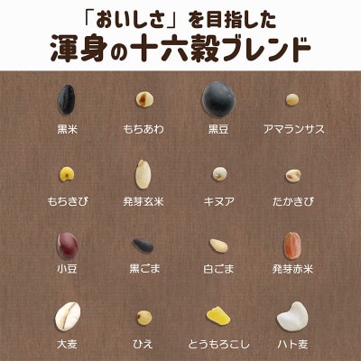 【はくばく】おいしさ味わう十六穀ごはん(30g×15袋入り)×6袋