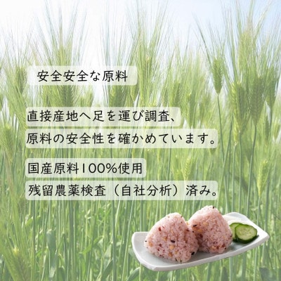 【はくばく】国産「発芽もち麦+16穀」(30g×15袋入り)×6袋