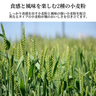 【はくばく】南アルプスのおいしいうどん　360g×12袋