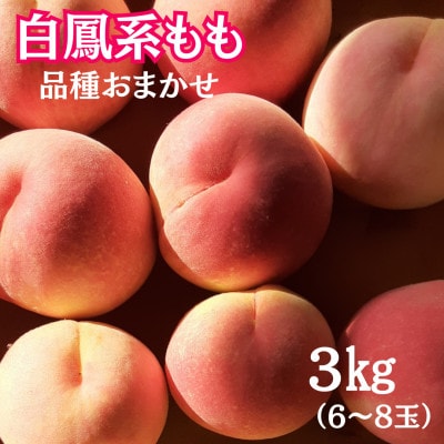 【2025年発送先行受付】山梨県産白鳳系もも　3kg(6玉～8玉)　品種おまかせ