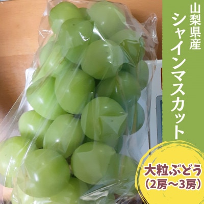 【2026年発送予定】【数量限定】山梨県産大粒のぶどう シャインマスカット 2～3房