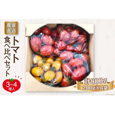 【先行受付】新鮮 採れたてトマト　食べ比べセット 800g(200g×4袋)