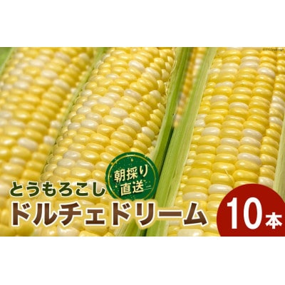 【先行受付】とうもろこし ドルチェドリーム 10本