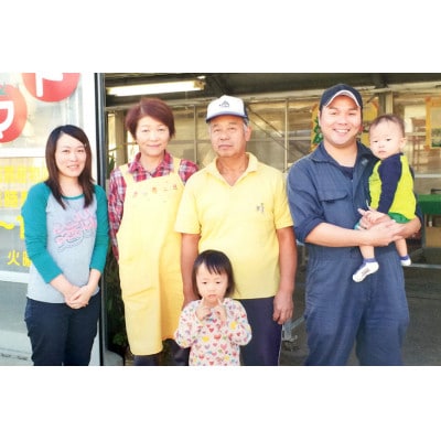 【先行受付】とうもろこし ドルチェドリーム 10本