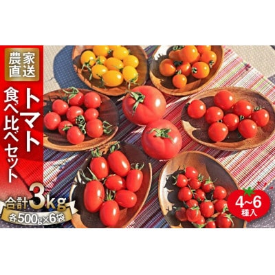 【先行受付】新鮮 採れたてトマト　食べ比べセット 3kg(500g×6袋)
