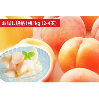 【お試し規格】山梨県産の桃約1kg(2～4玉)品種おまかせ