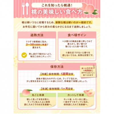 【人気の規格】山梨県産の桃約2kg(5～6玉)品種おまかせ