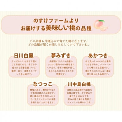 【訳あり(小玉)】山梨県産の桃約3kg(8～10玉)品種おまかせ