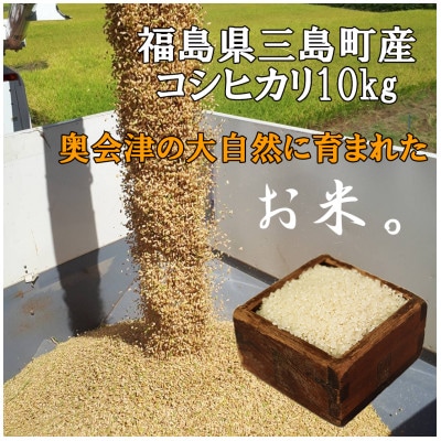 【令和6年産】コシヒカリ　精米10kg
