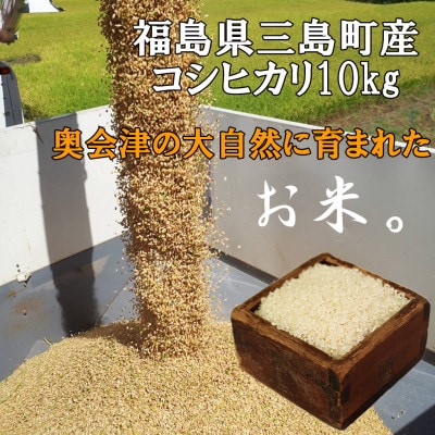 【令和7年産】コシヒカリ　精米　10kg