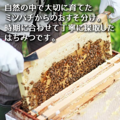 奥会津産 純粋はちみつ【3種セット】