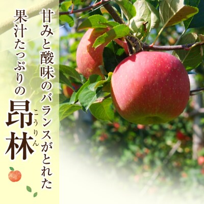 22年10月下旬発送分先行受付 りんご 昂林 5kg 北海道産 お礼品詳細 ふるさと納税なら さとふる