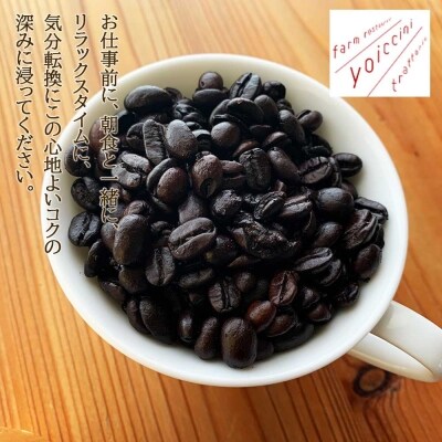 【定期便☆数量限定!】馬渡新平のマグが届く!コーヒー豆 定期便☆全12回_Y020-0004
