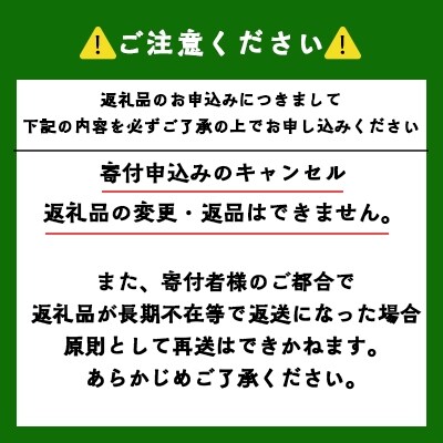 ☆豪華☆余市海の幸セット5☆