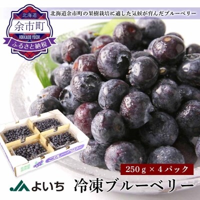 冷凍ブルーベリー 250g 4パック お礼品詳細 ふるさと納税なら さとふる