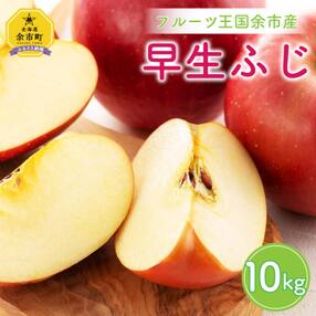 フルーツ王国余市産「早生ふじ」10kg【ニトリ観光果樹園】