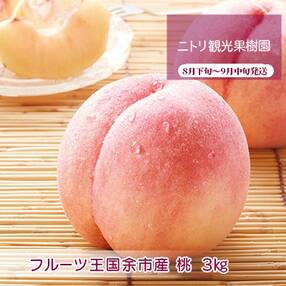 北海道余市町 果物 フルーツのお礼品 返礼品一覧 ふるさと納税サイト さとふる