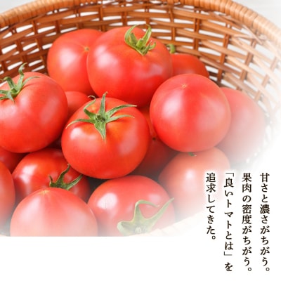 中野ファームのトマトジュース 180ml×5本セット  100% 北海道_Y026-0007