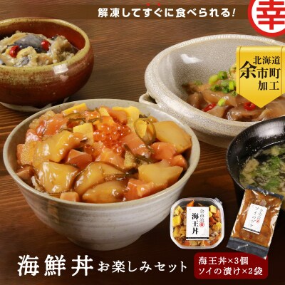 【北海道余市町加工】解凍してすぐに食べられる!海鮮丼 お楽しみセット!_Y004-0018