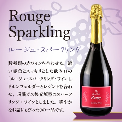 【先行受付】【贈答用】人気の紅白 スパークリング ワイン セット 各750ml_Y012-0106